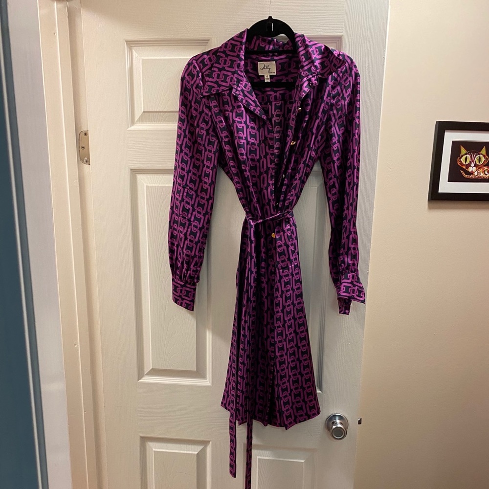 Silk knee length shirt dress